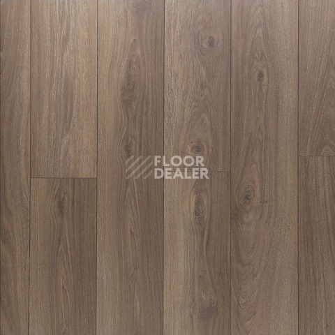 Ламинат Clix Floor Plus CXP087 Дуб Кофейный фото 1 | FLOORDEALER